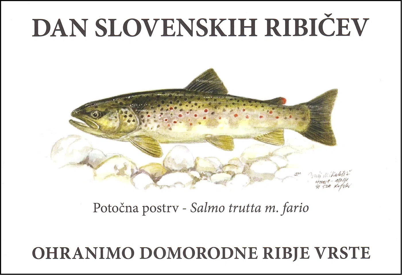 OHRANIMO DOMORODNE RIBJE VRSTE